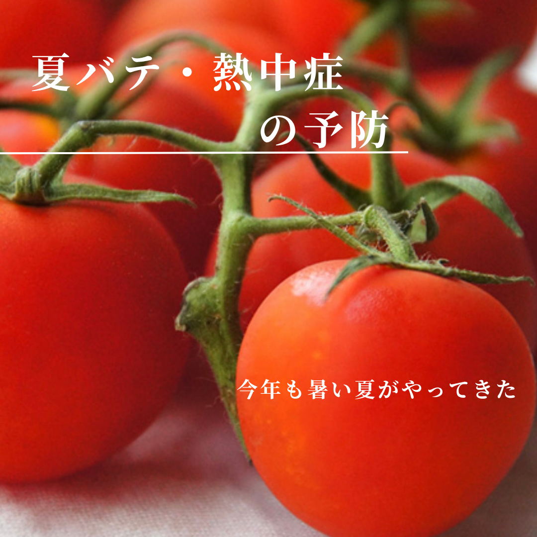 観葉植物ポトス